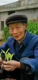 走失者照片 广元寻人！八旬独居老人失联，穿灰色...
