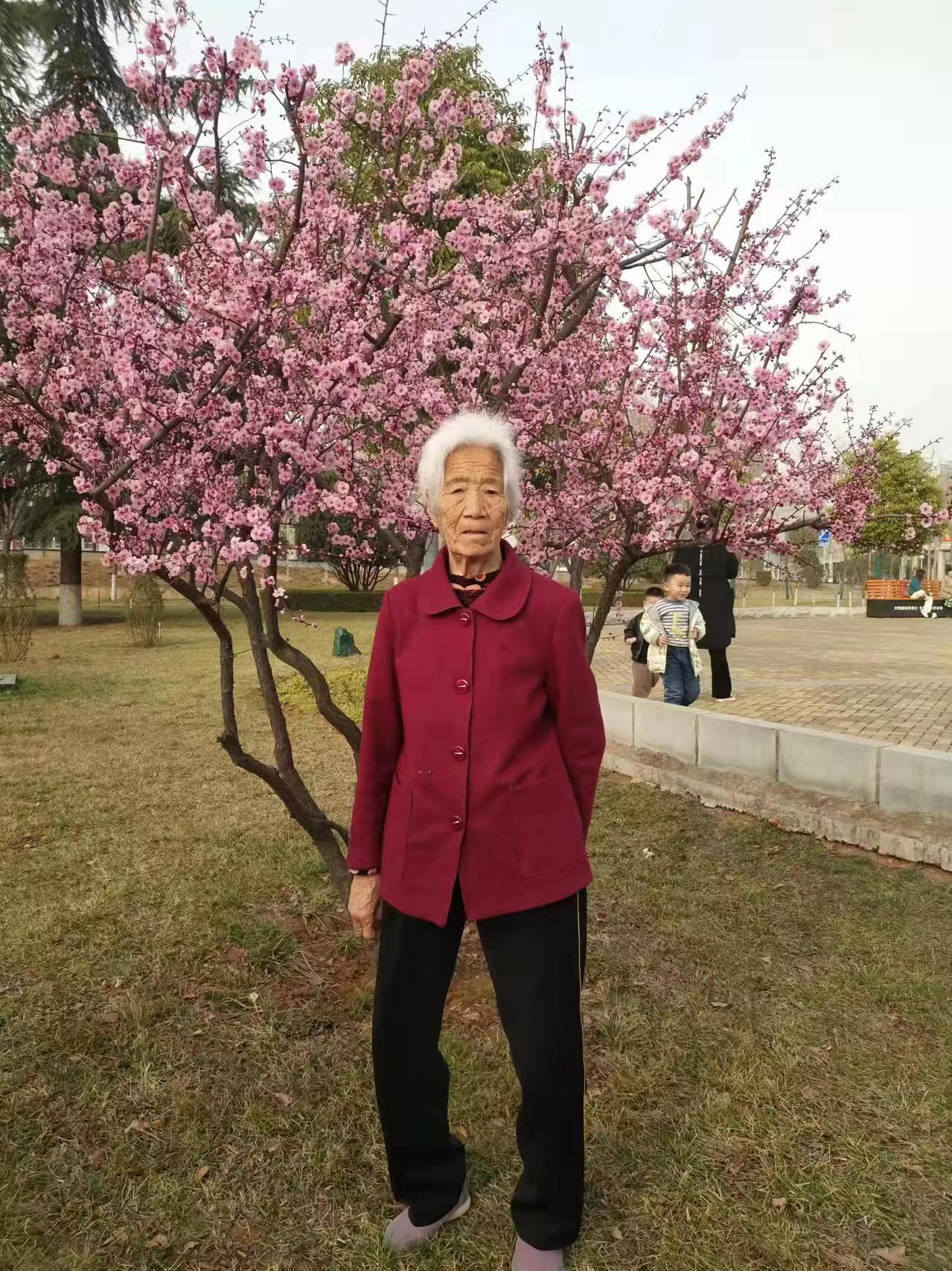 走失者照片 洛阳急寻：八旬老太走失，穿蓝底白花...
