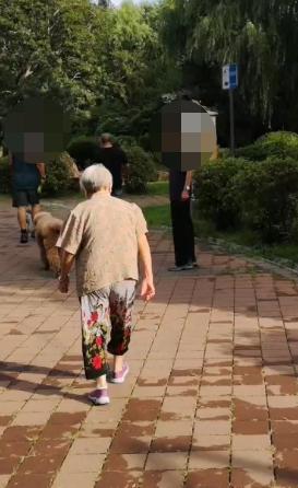走失者照片 沈阳急寻：八旬老太走失，患小脑萎缩...