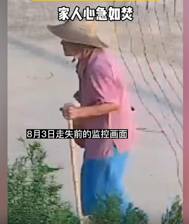 走失者照片 随州广水急寻：八旬老太走失，穿粉红...