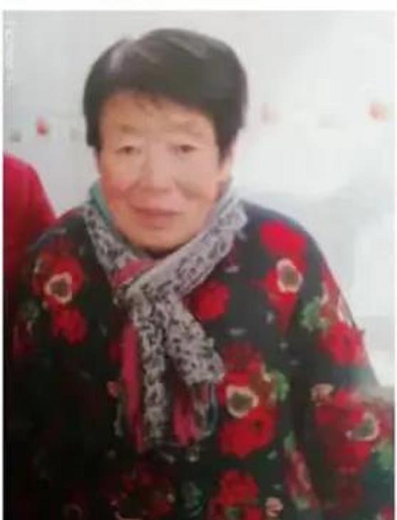 走失者照片 宝鸡急寻：七旬老太失联，穿棕色花上...