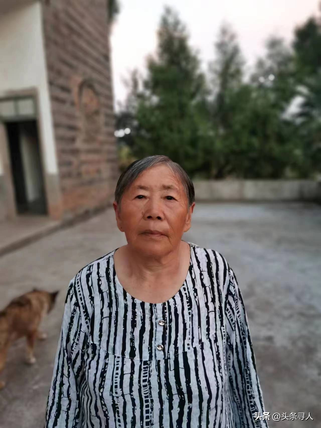 走失者照片 重庆七旬老太寻找台湾生父：哪怕有一...