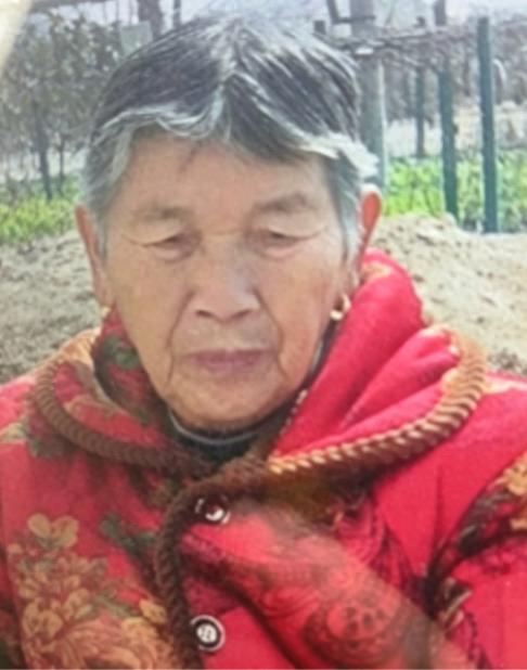 走失者照片 岳阳市寻人：七旬老太走失，穿红底印...