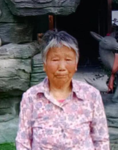 走失者照片 长治寻人：八旬老太走失，穿紫色花长...