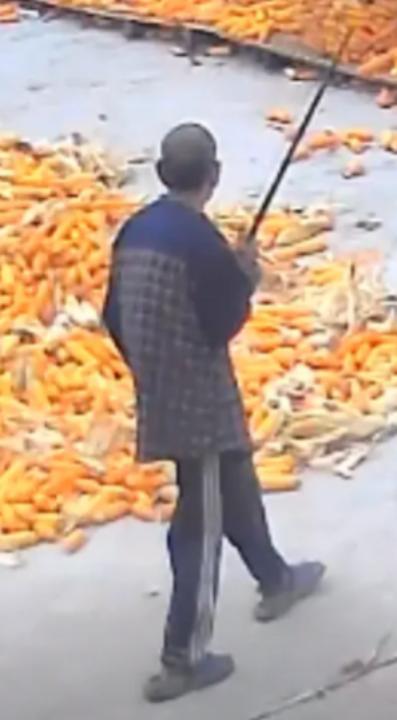 走失者照片 周口市寻人：六旬老人走失，穿灰色格...