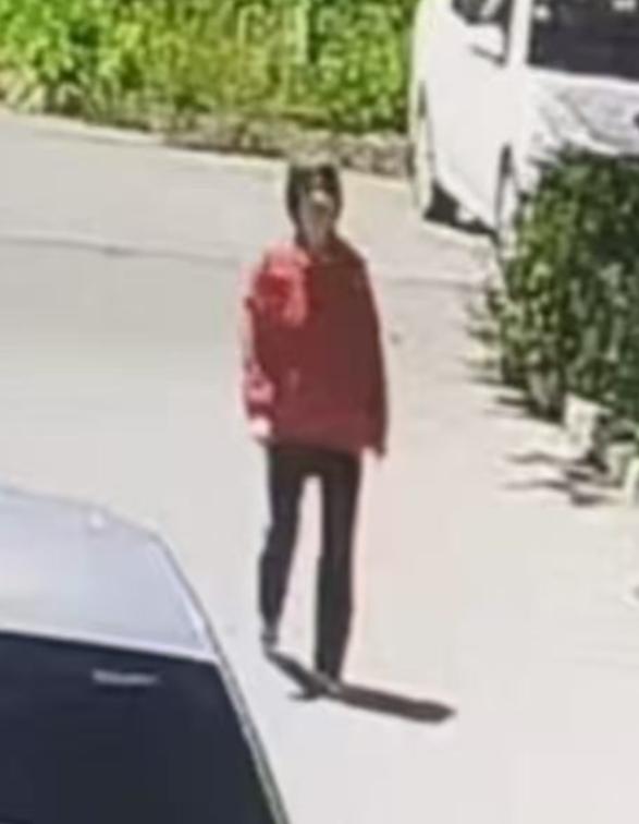 走失者照片 西安寻人：七旬老太走失，精神状态不...