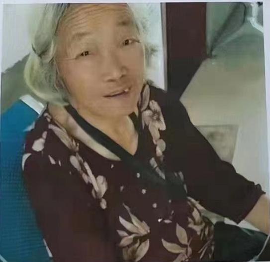 走失者照片 信阳急寻：七旬老太走失，穿浅紫色外...