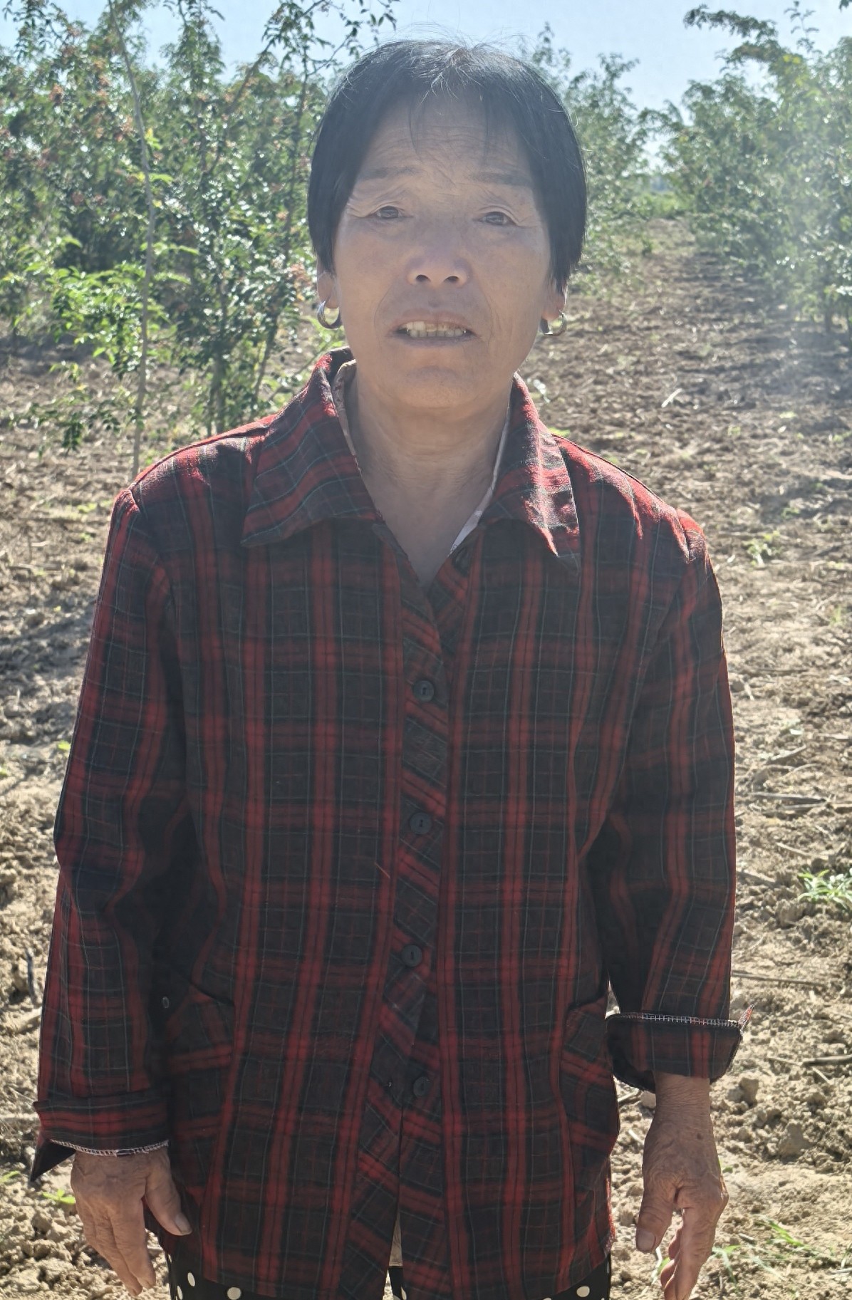 走失者照片 渭南市寻人：七旬老太走失，患小脑萎...
