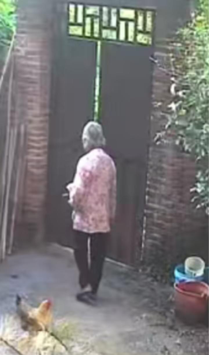 走失者照片 赣州市寻人：八旬老太走失，穿粉底花...