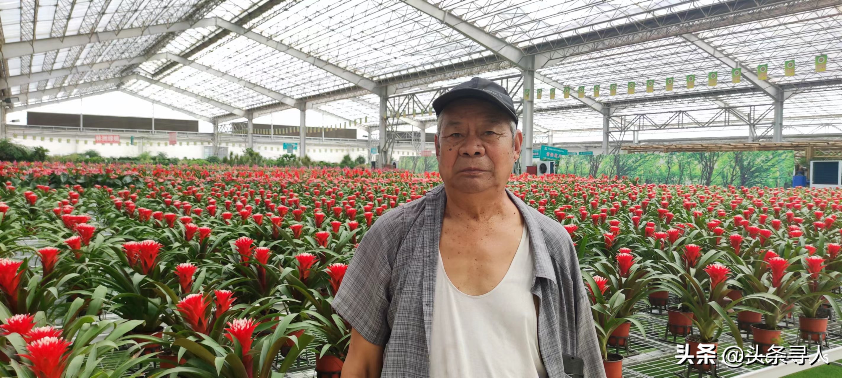 走失者照片 线索征集|寻找山东潍坊籍老人祝俊杰...