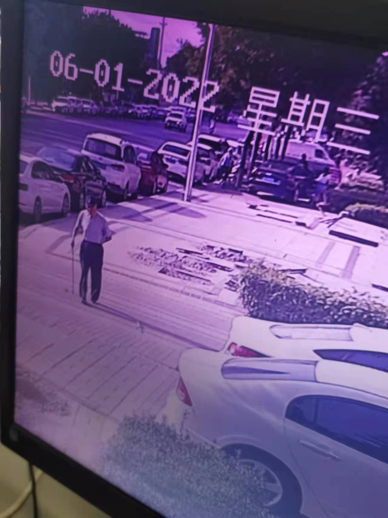 走失者照片 平顶山急寻：八旬老人走失，穿灰色短...