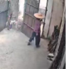 走失者照片 清远市寻人：七旬老太走失，患阿尔茨...
