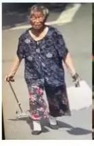 走失者照片 驻马店急寻：八旬老太走失，穿深蓝色...