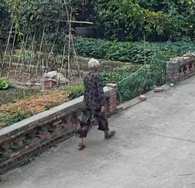 走失者照片 泰州市兴化市寻人：七旬老太走失，穿...