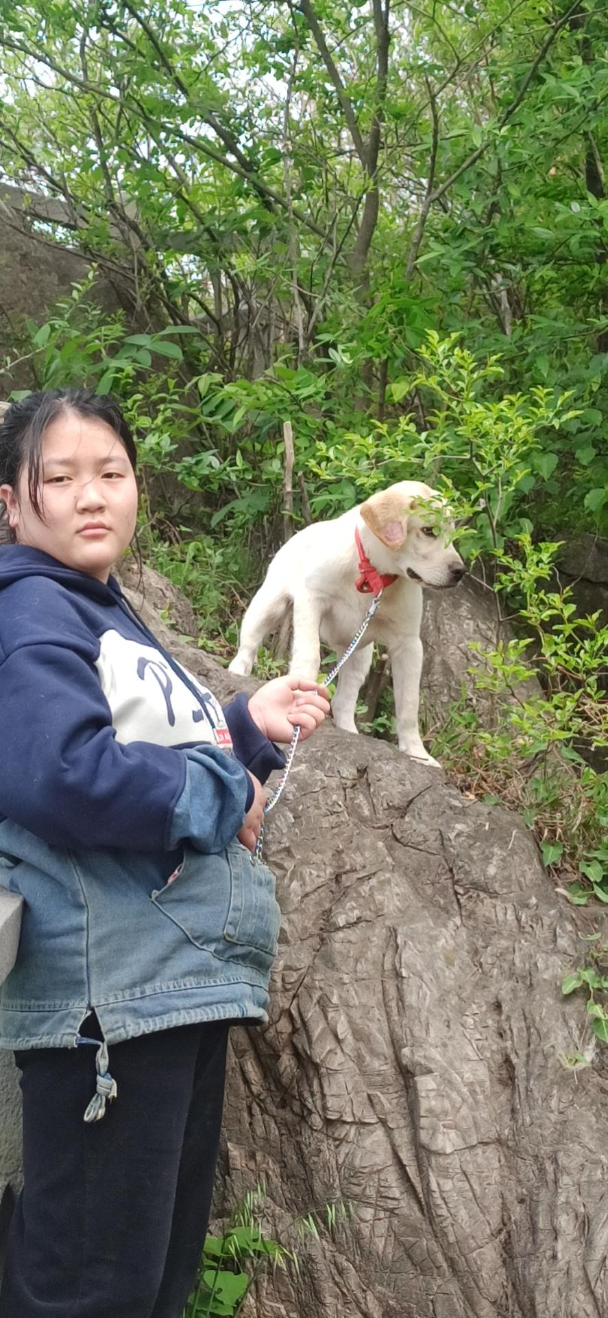 走失者照片 17岁女生在南京失联，高约1米6，...