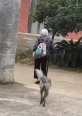 走失者照片 永州祁阳寻人：九旬老太走失，患阿尔...