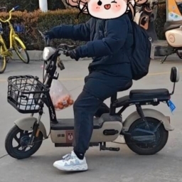 走失者照片 棕色绿源电动车