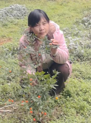 走失者照片 安顺市寻人：中年女子走失，患术后后...