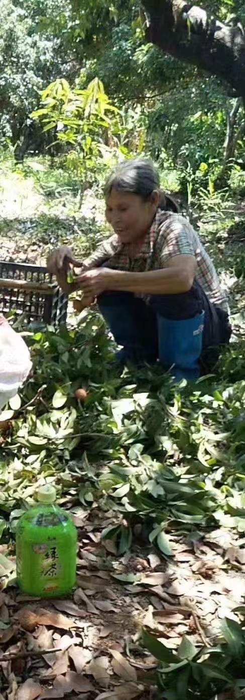 走失者照片 惠州急寻：六旬老太走失，患精神障碍...