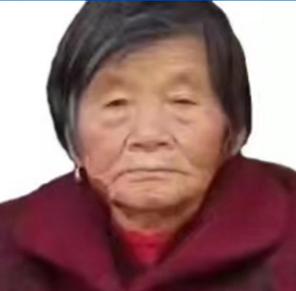 走失者照片 宿迁急寻：九旬老太走失，穿紫红色棉...