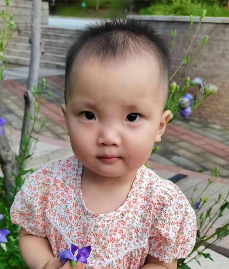 走失者照片 承德寻亲：2岁半女孩自幼被救助，偏...