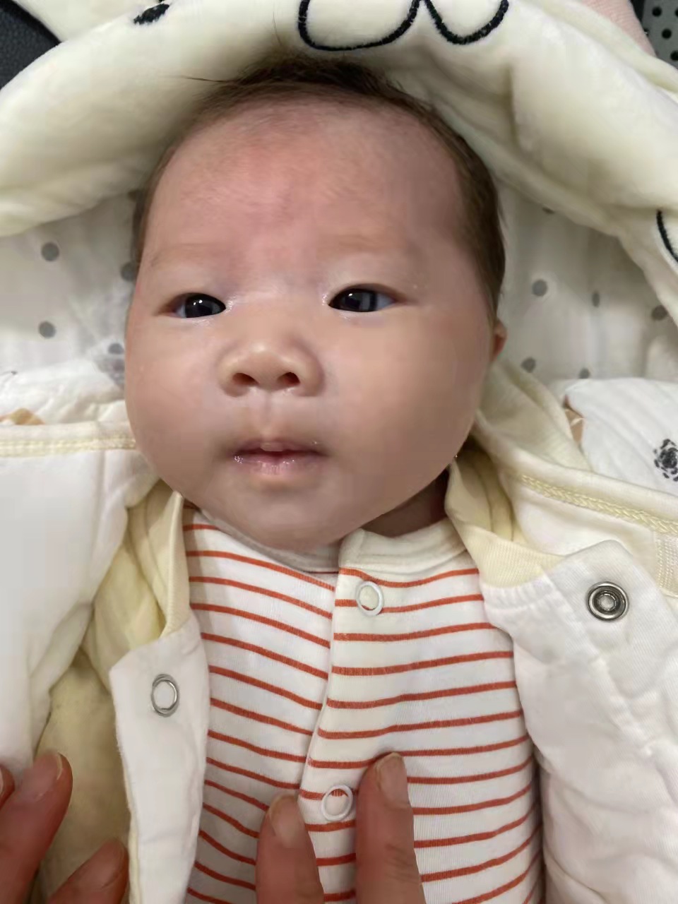 走失者照片 内江寻亲：1岁女童被救助，穿红白相...