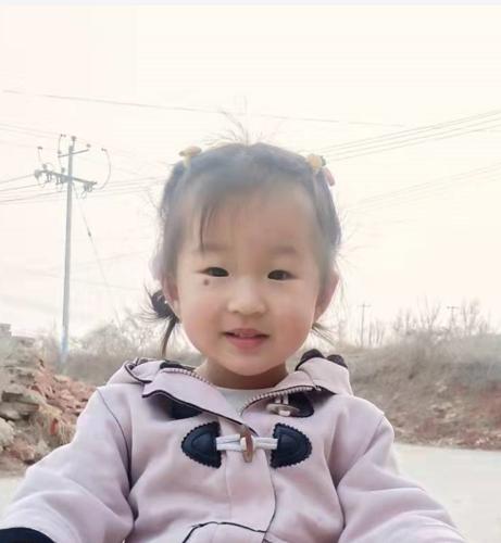 走失者照片 急寻孩子父母：张家口3岁女孩自幼被...
