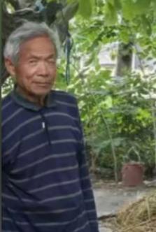走失者照片 漯河市寻人：八旬老人走失，患精神障...