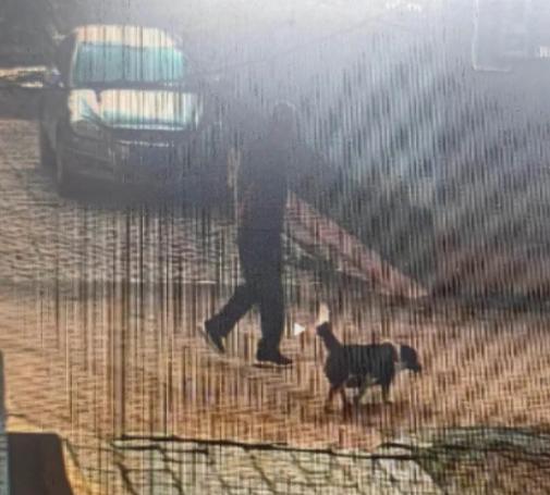 走失者照片 潍坊诸城寻人：七旬老人走失，穿黑色...