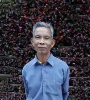 走失者照片 紧急寻人！柳州七旬老人走失，穿棕色...
