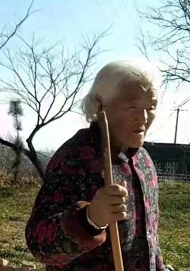 走失者照片 紧急寻人！咸阳彬州七旬老太走失，穿...