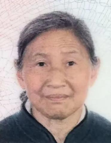 走失者照片 资阳市寻人：八旬老太走失，穿花褂子...