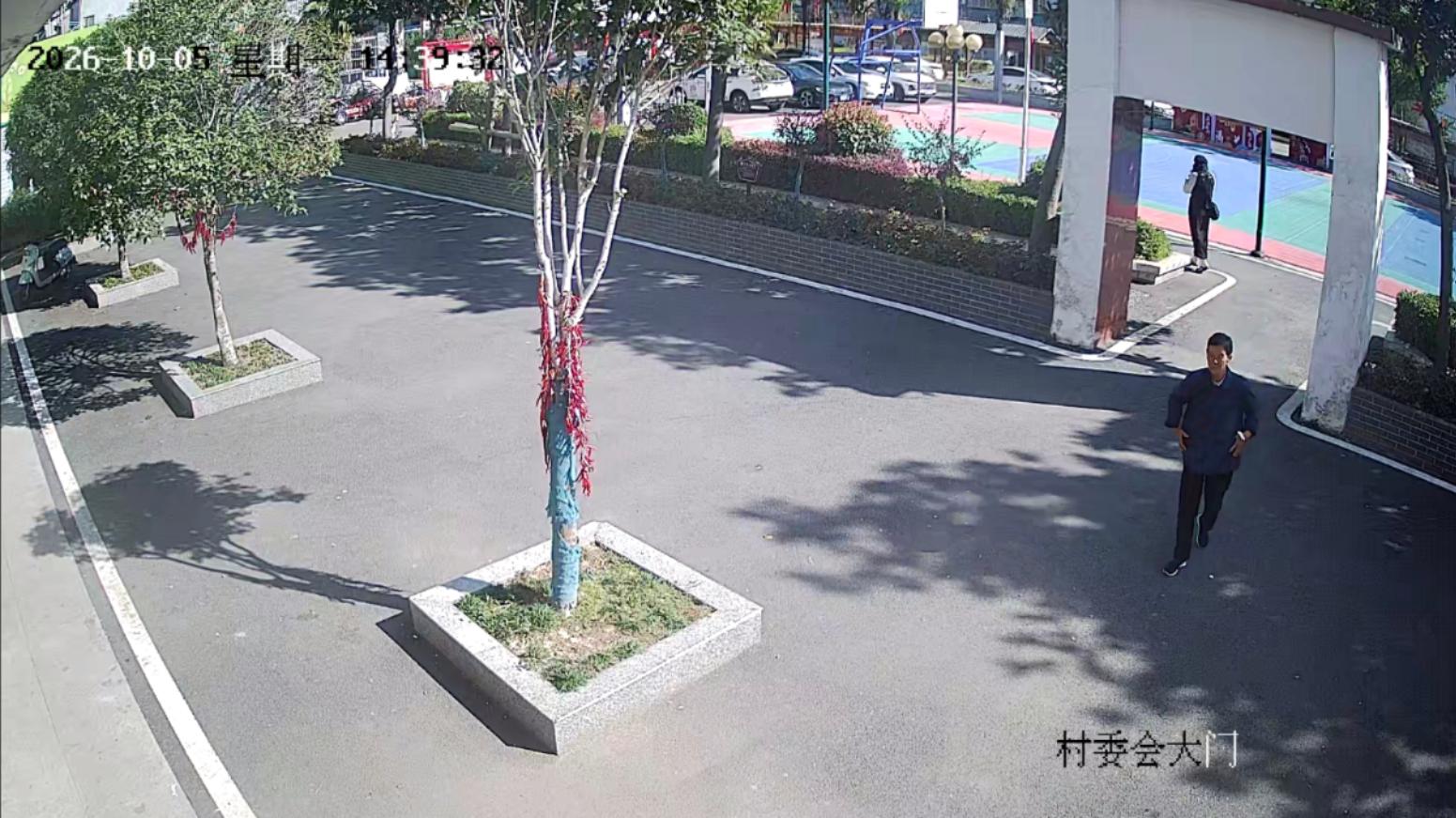 走失者照片 孝感市寻人：八旬老太走失，穿蓝色格...