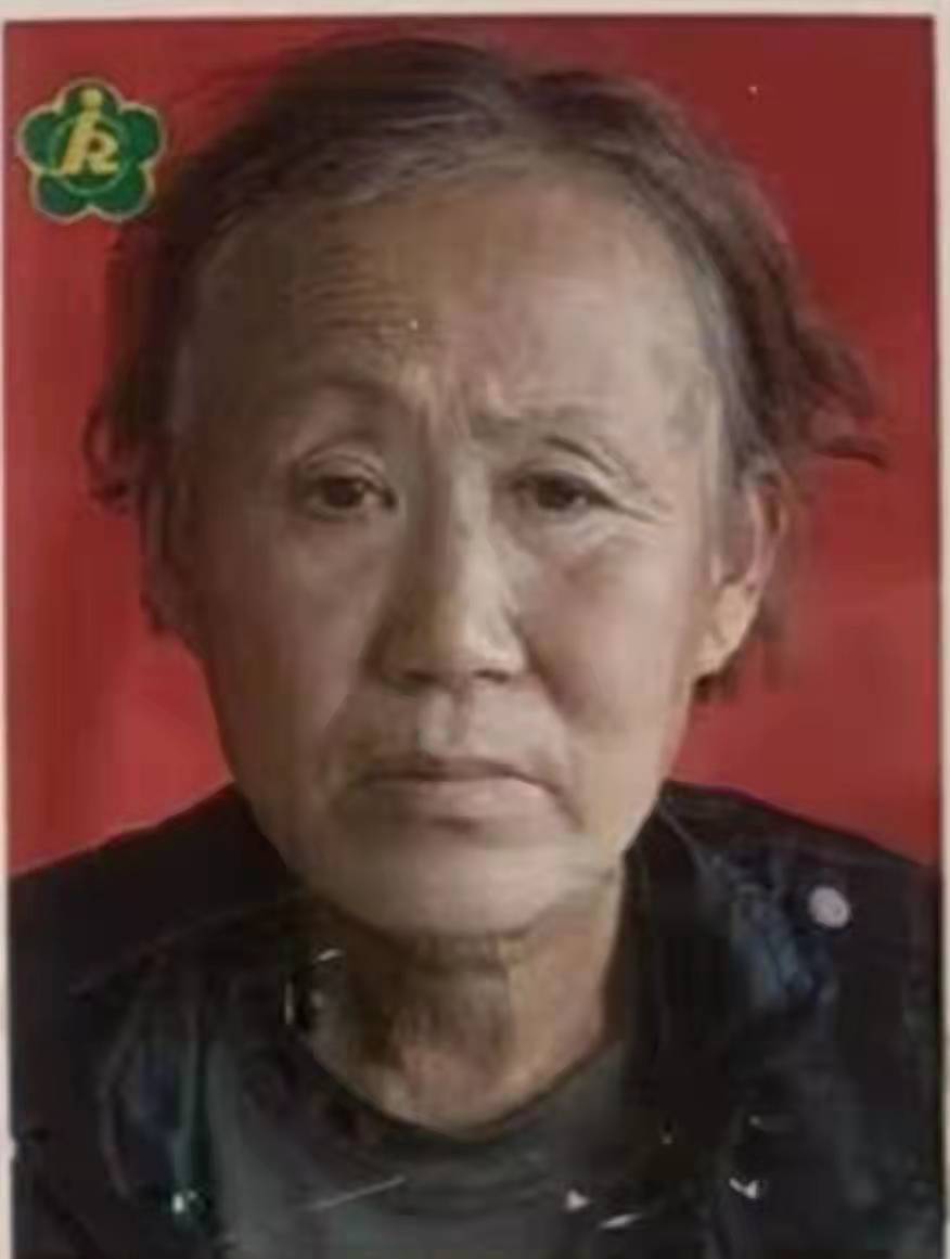 走失者照片 鞍山急寻：六旬老太失联，额头微秃，...