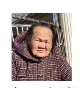 走失者照片 紧急寻人：合肥七旬老太深夜走失，短...