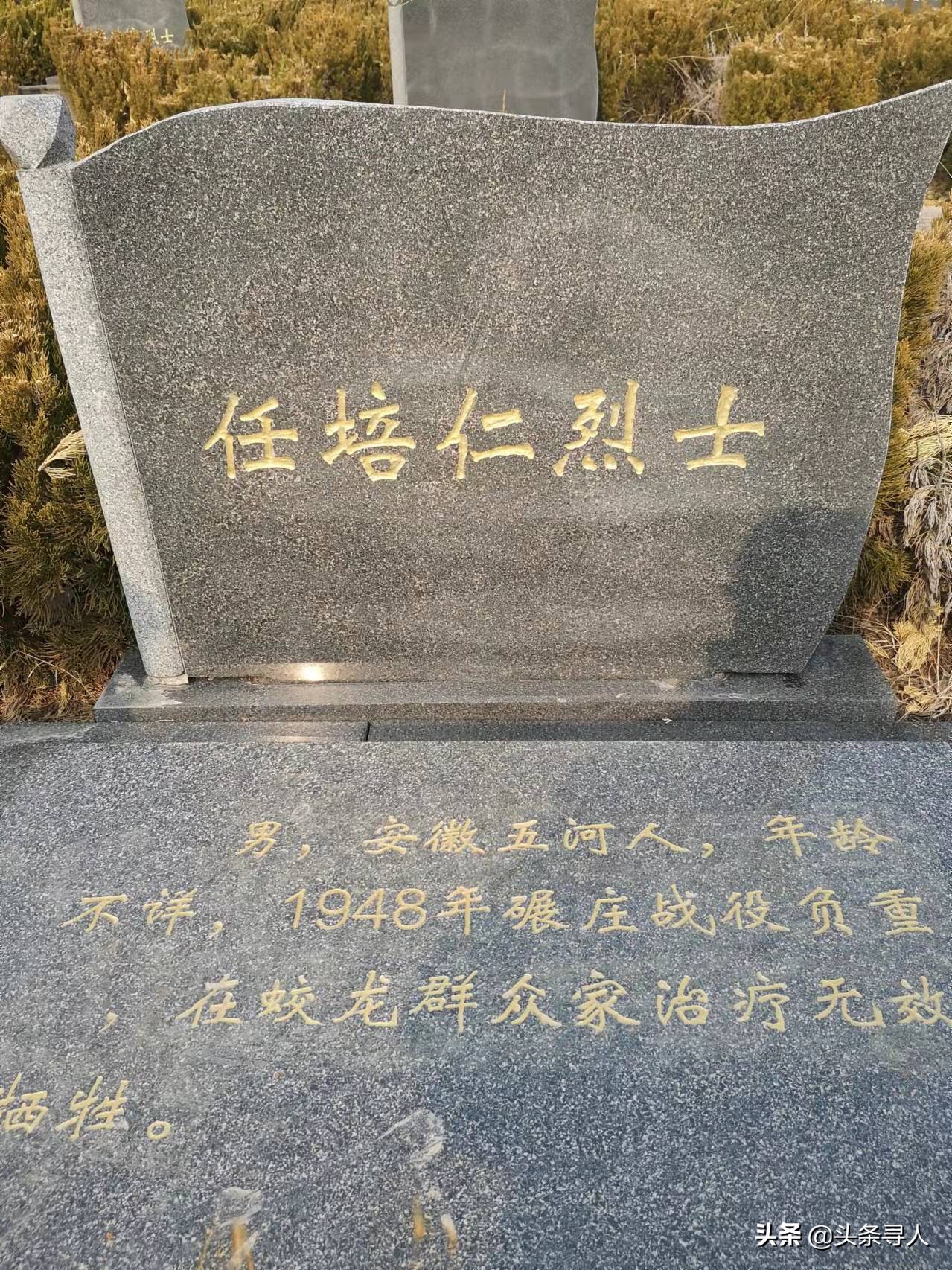 走失者照片 寻安徽蚌埠籍烈士任培仁后人,他长眠...