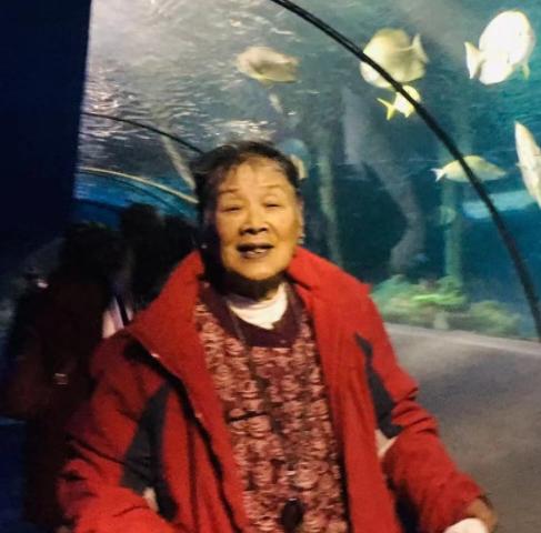 走失者照片 宝鸡急寻！八旬老太走失多日，穿红色...