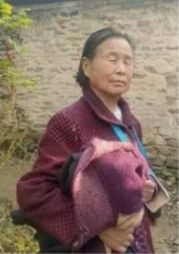 走失者照片 南阳市寻人：七旬老太走失，穿碎花上...