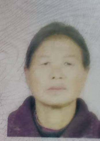 走失者照片 南阳市寻人：七旬老太走失，穿碎花上...