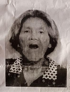 走失者照片 阜阳急寻：六旬老太听戏时走失，精神...