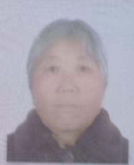 走失者照片 急寻：洛阳七旬老太走失，穿紫色棉袄...