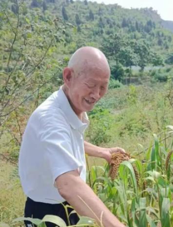 走失者照片 邯郸市寻人：九旬老人走失，患阿尔茨...