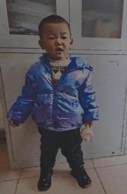 走失者照片 寻亲：2岁男童在温州被救助，现生活...