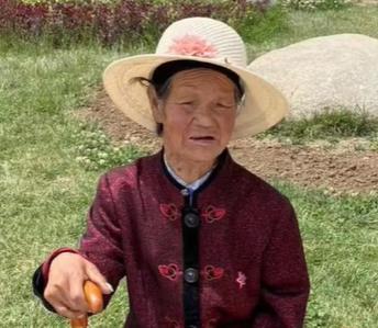 走失者照片 陇南急寻：八旬老太走失，穿棉衣、黑...