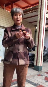 走失者照片 莆田寻人！六旬老太走失，患脑梗，不...