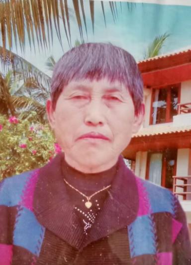 走失者照片 寻人：合肥七旬老太走失，穿紫红色花...