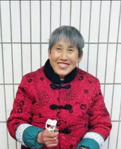 走失者照片 寻人：合肥七旬老太走失，穿紫红色花...