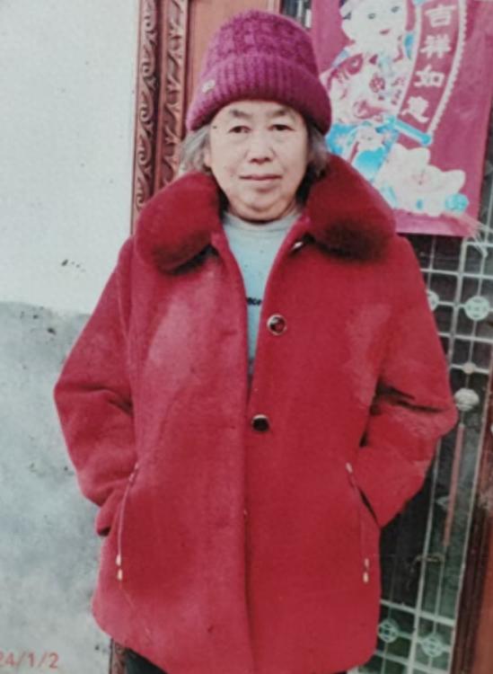 走失者照片 驻马店市寻人：八旬老太走失，穿粉色...