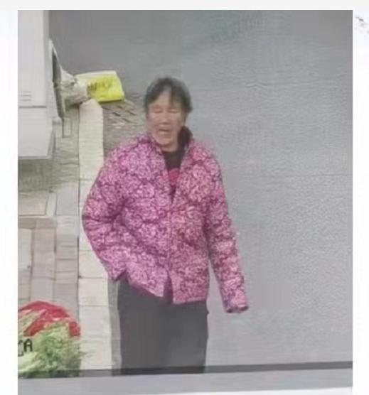 走失者照片 安阳林州急寻！七旬老太走失，患阿尔...