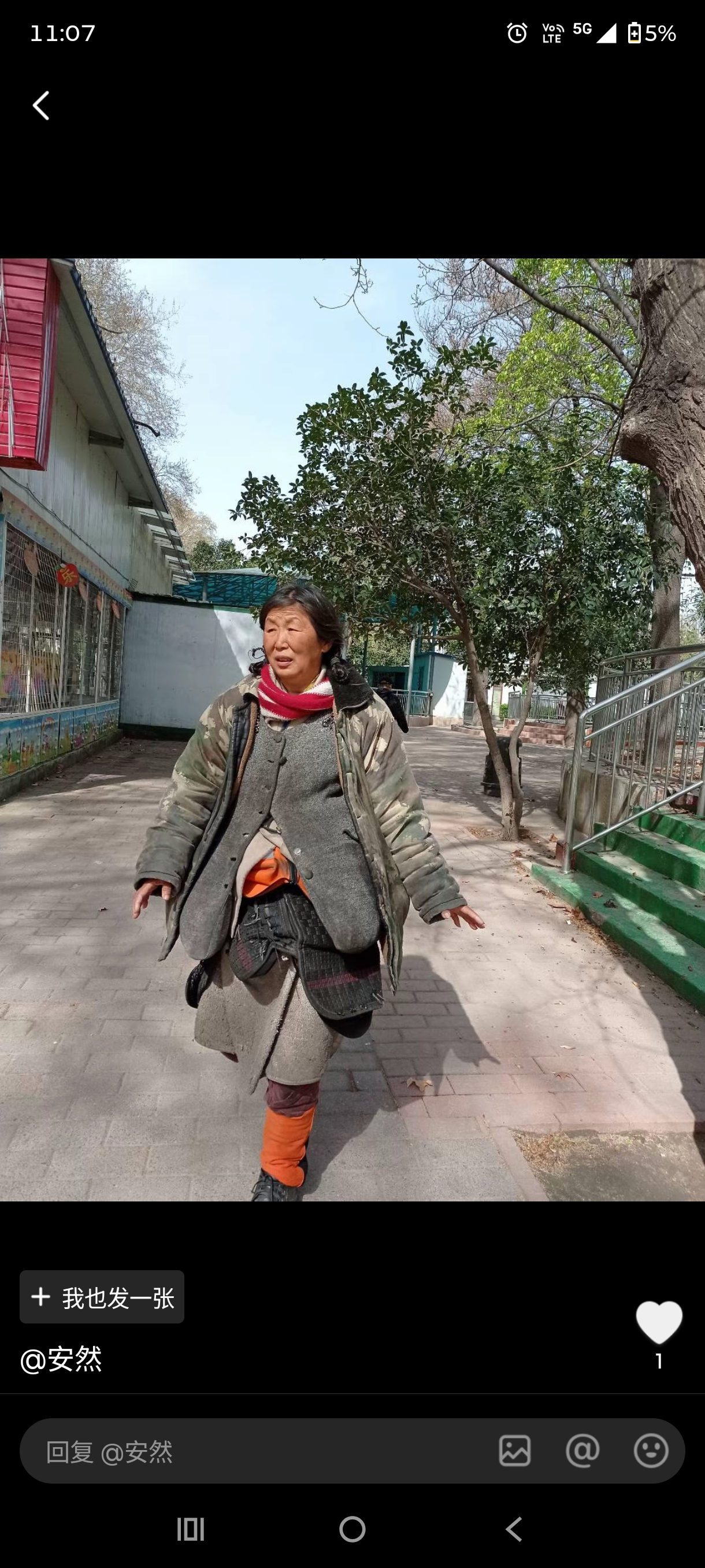 走失者照片 帮一名在郑州流浪的女性找家
